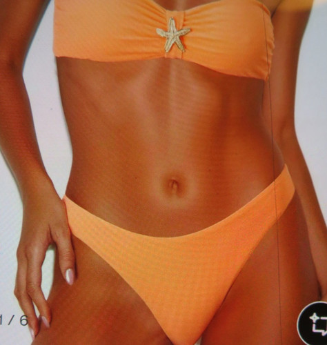 Flavia valentini starfish - flavia,